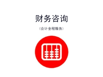 苏州高新区公司财务咨询